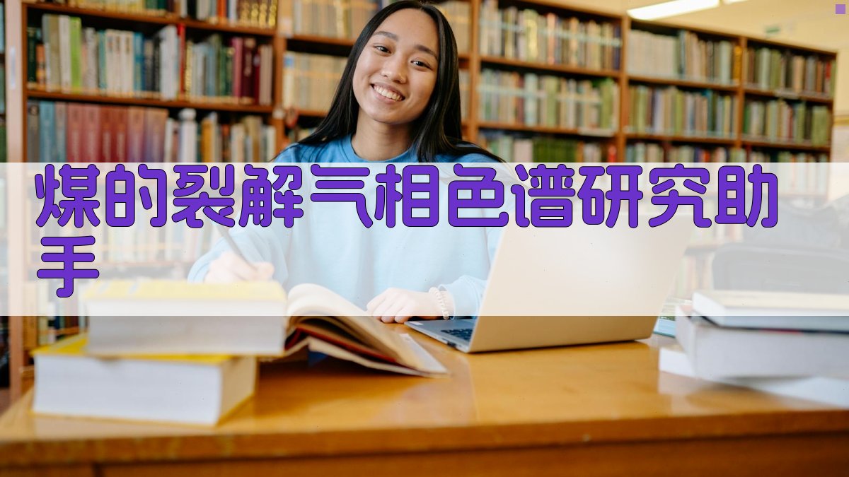 煤的裂解气相色谱研究助手