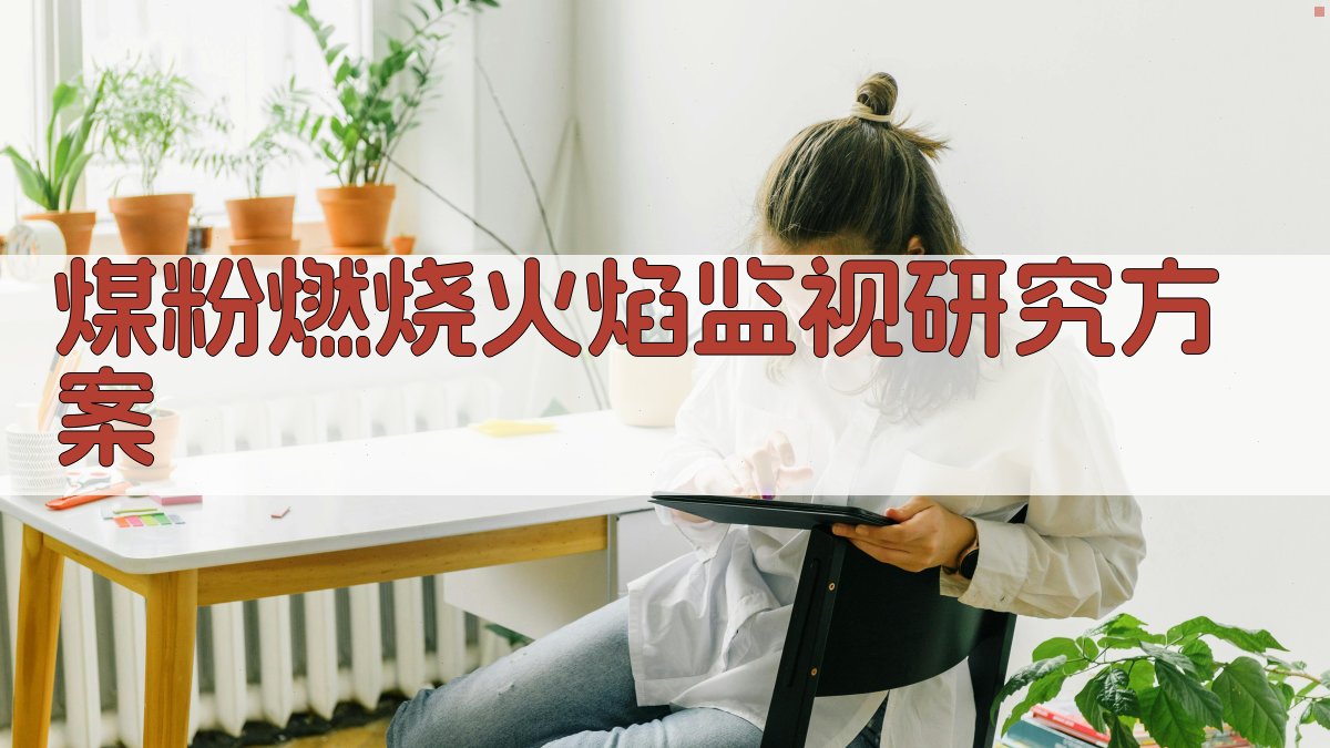 AI煤粉燃烧火焰监视研究方案生成器