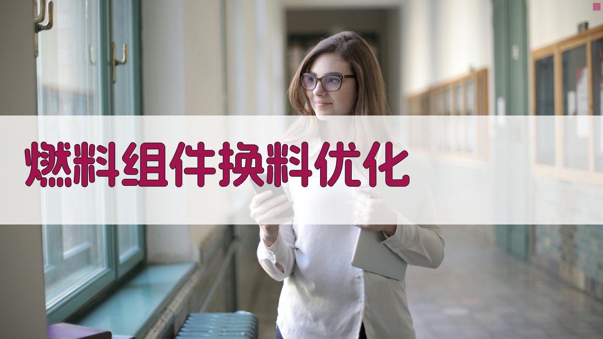 AI燃料组件换料程序优化研究