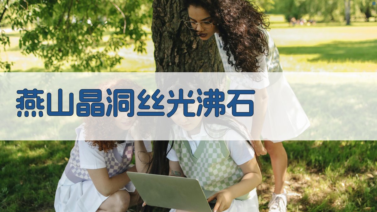 燕山晶洞丝光沸石矿物特征及其成因