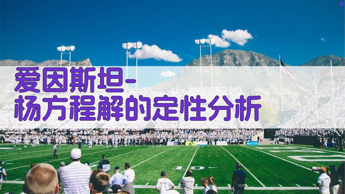 爱因斯坦-杨方程解的定性分析