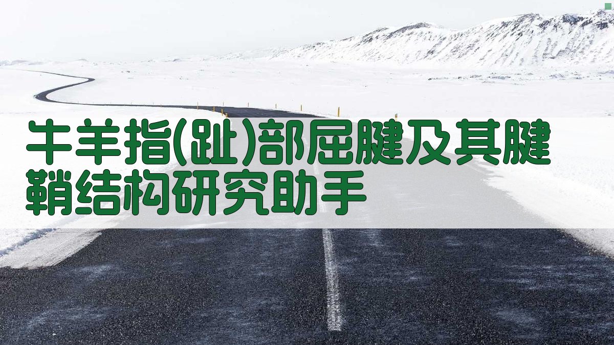 牛羊指(趾)部屈腱及其腱鞘结构研究助手