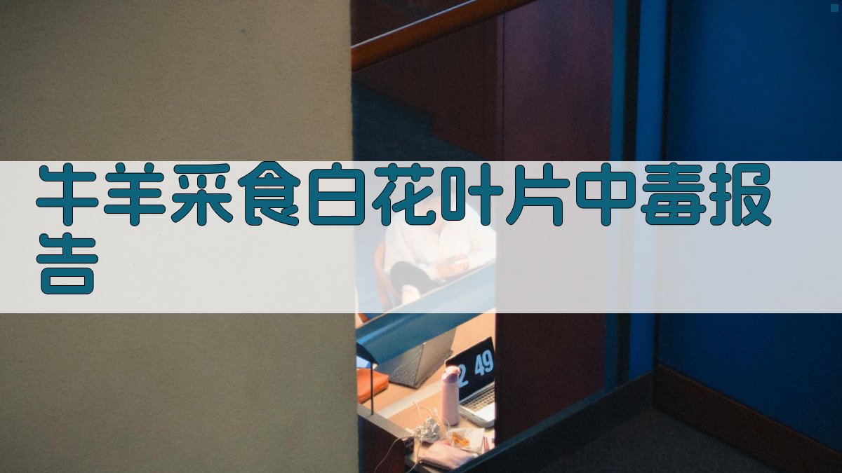 牛羊采食白花叶片中毒报告