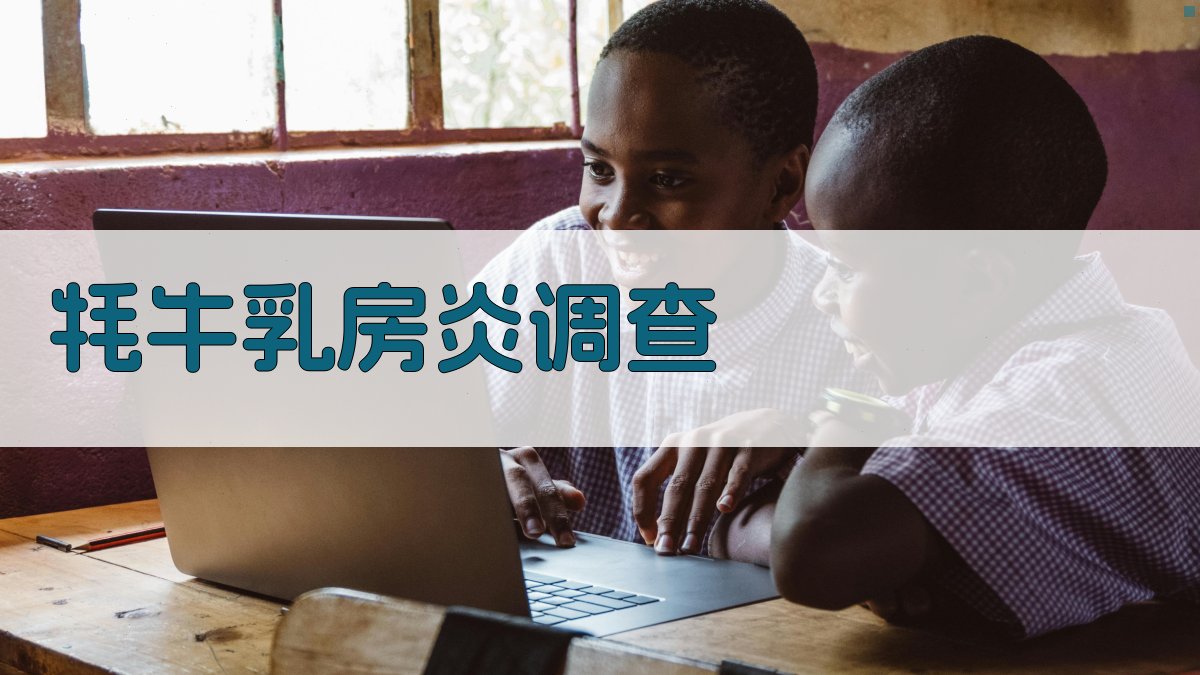 牦牛乳房炎调查