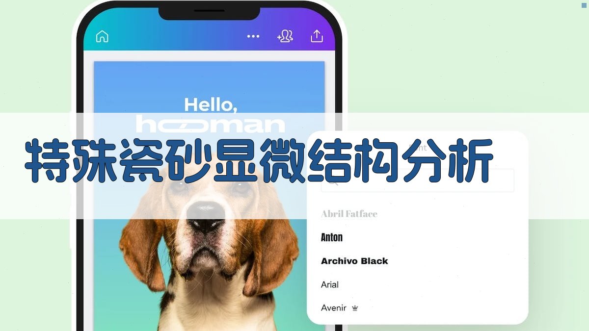 特殊瓷砂显微结构分析