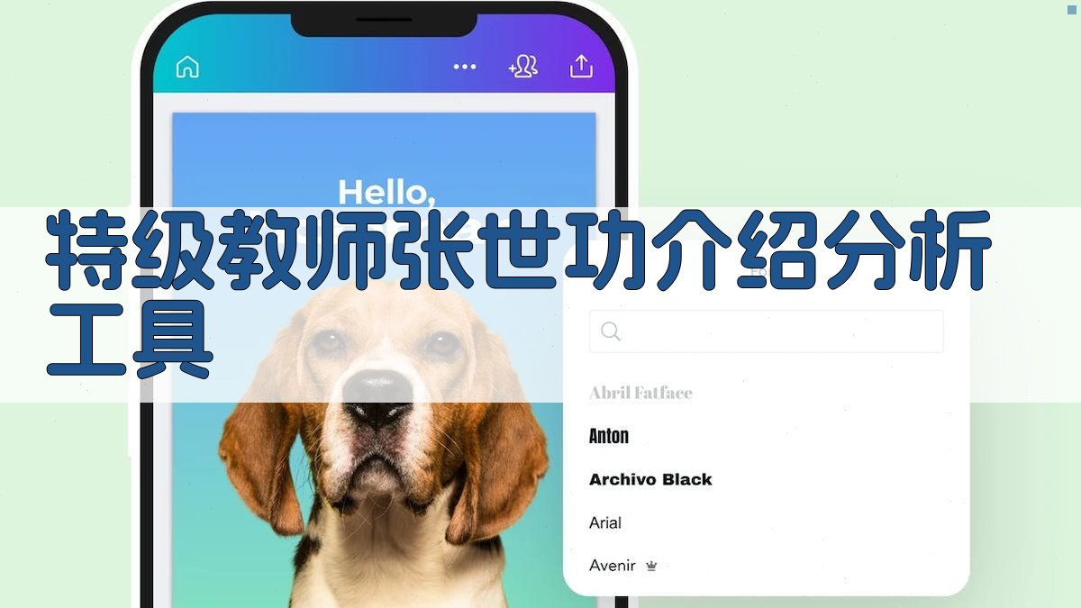 特级教师张世功介绍分析工具