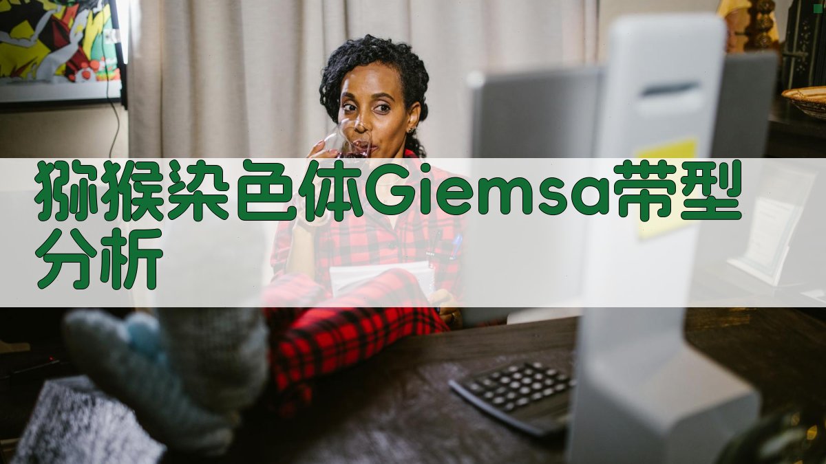 猕猴染色体Giemsa带型分析