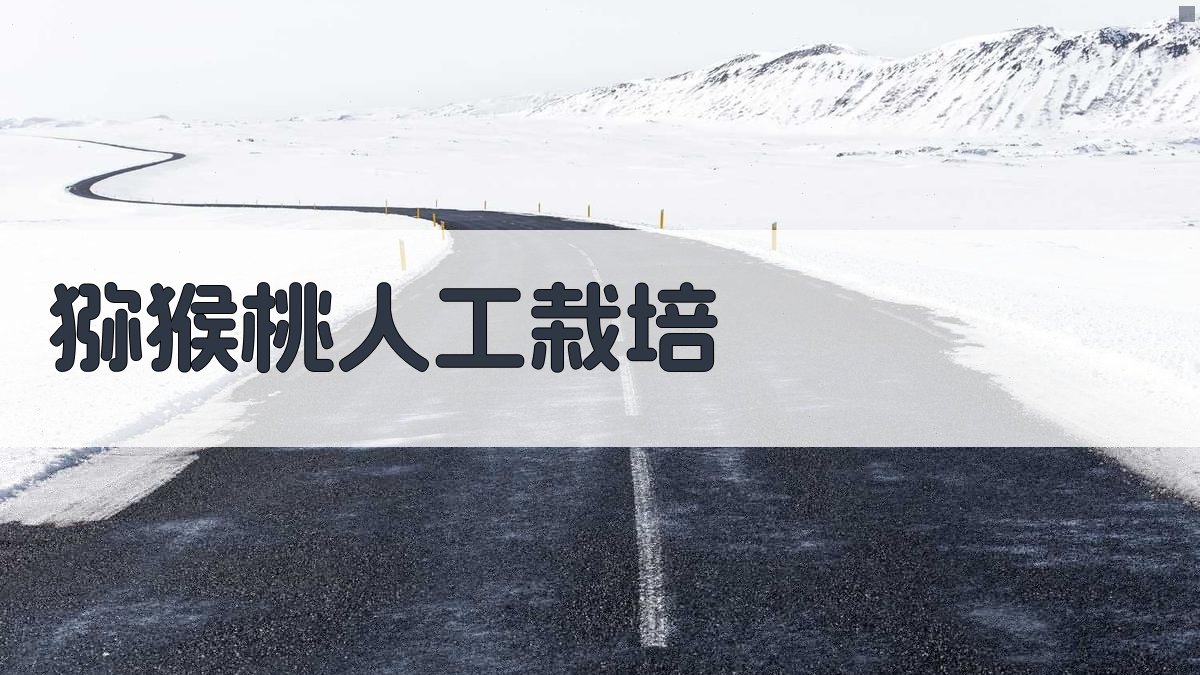 猕猴桃人工栽培