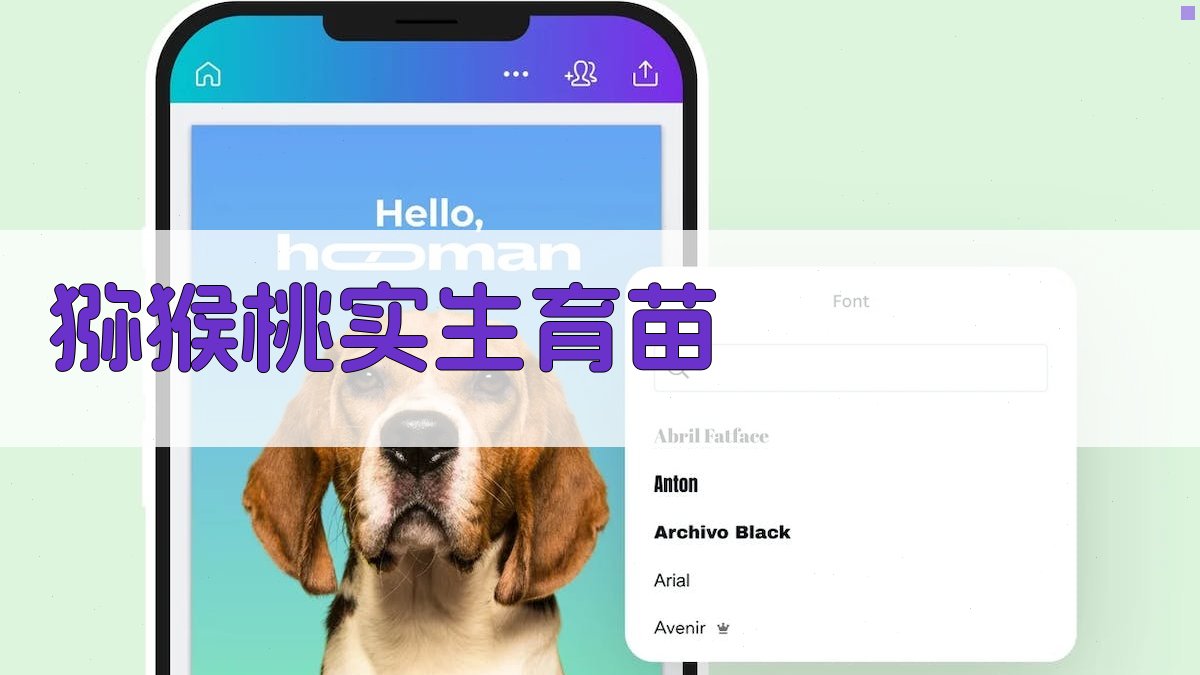 中华猕猴桃实生育苗