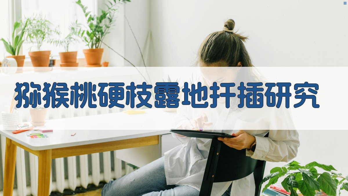 猕猴桃硬枝露地扦插研究