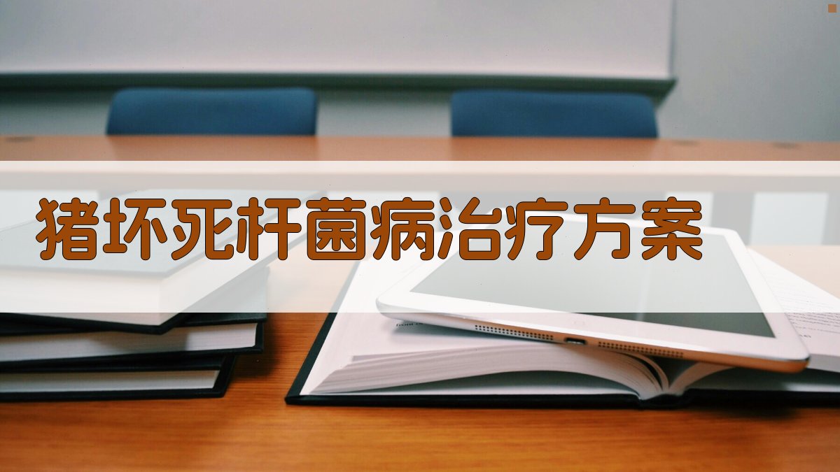 AI猪坏死杆菌病治疗方案分析