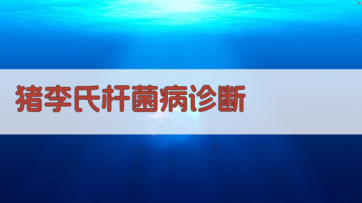 猪李氏杆菌病诊断