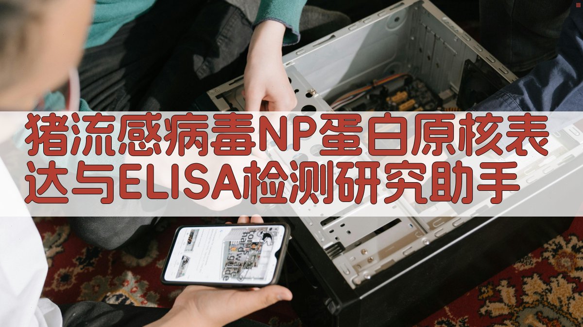 猪流感病毒NP蛋白原核表达与ELISA检测研究助手