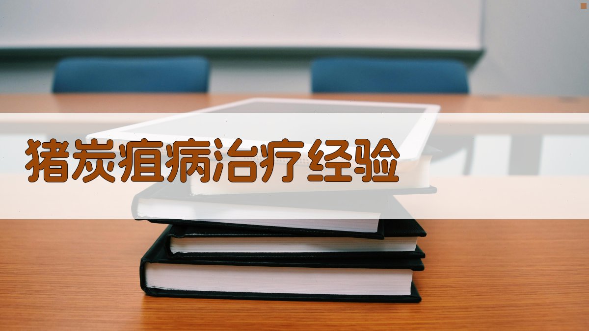 AI智能猪炭疽病治疗经验生成器