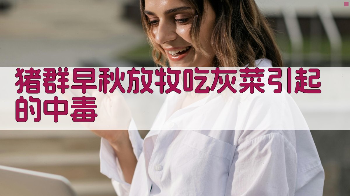 猪群早秋放牧吃灰菜引起的中毒