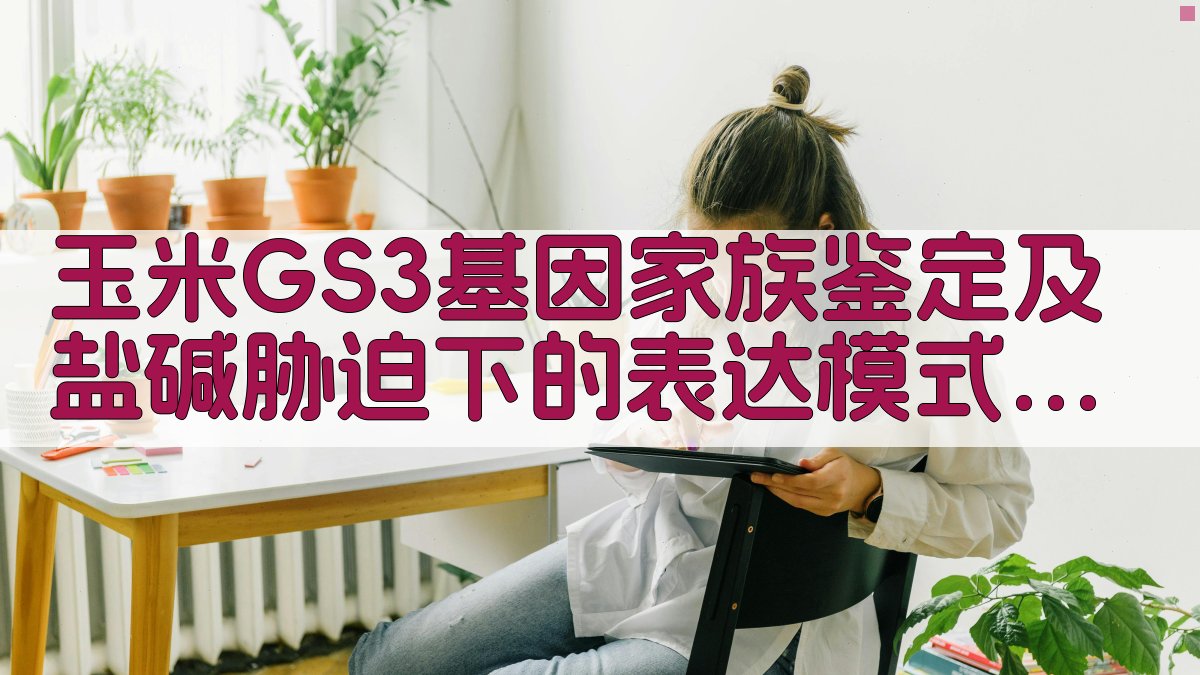 玉米GS3基因分析工具