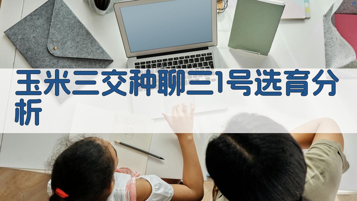 玉米三交种聊三1号选育分析工具