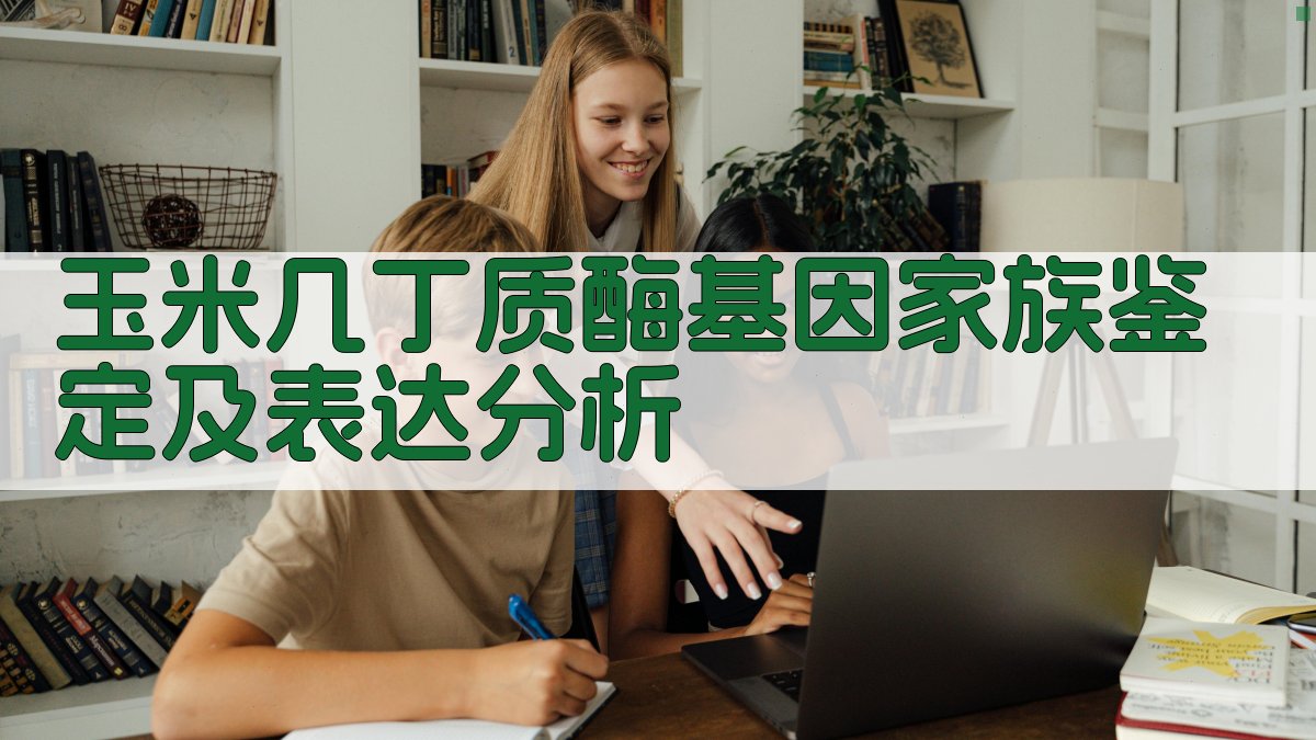 玉米几丁质酶基因家族鉴定及表达分析