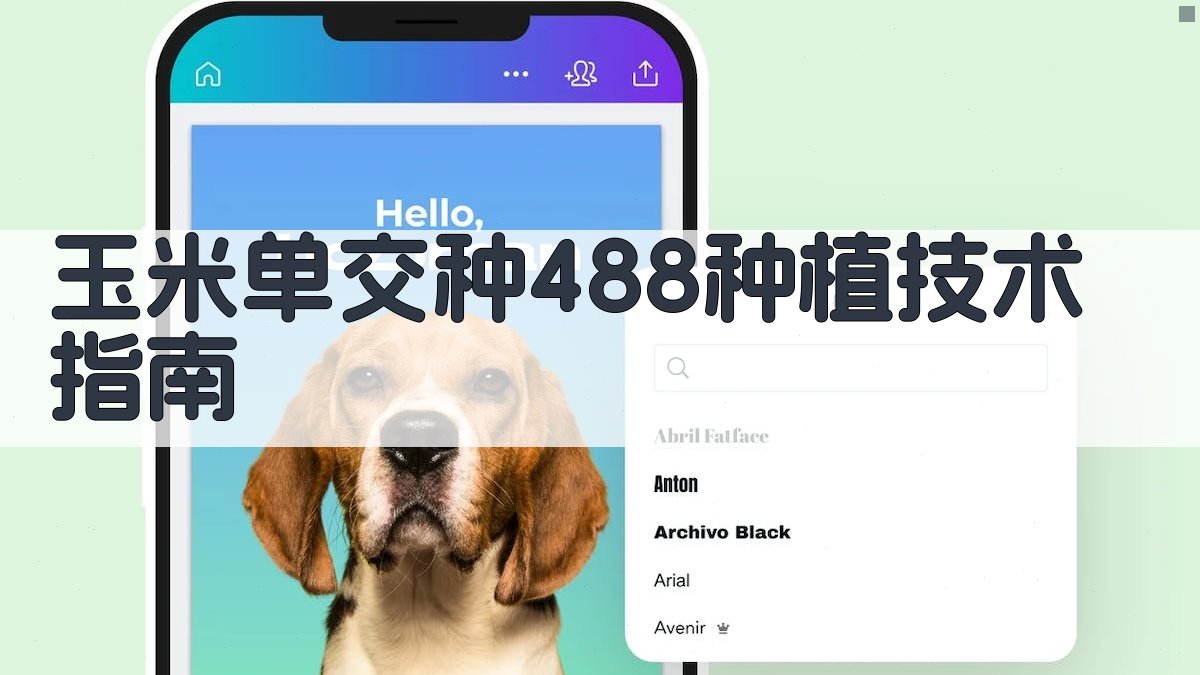 玉米单交种488种植技术指南