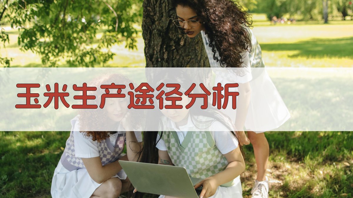 AI玉米生产途径分析
