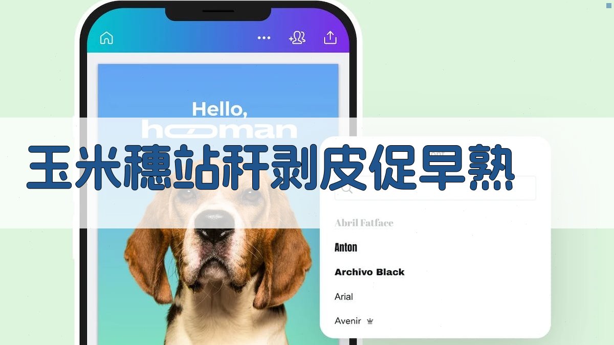 AI玉米穗站秆剥皮促早熟方案生成