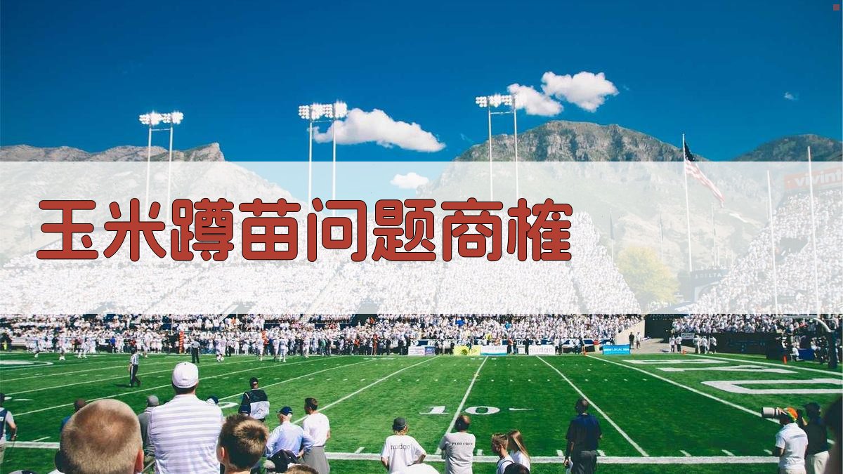 玉米蹲苗问题商榷