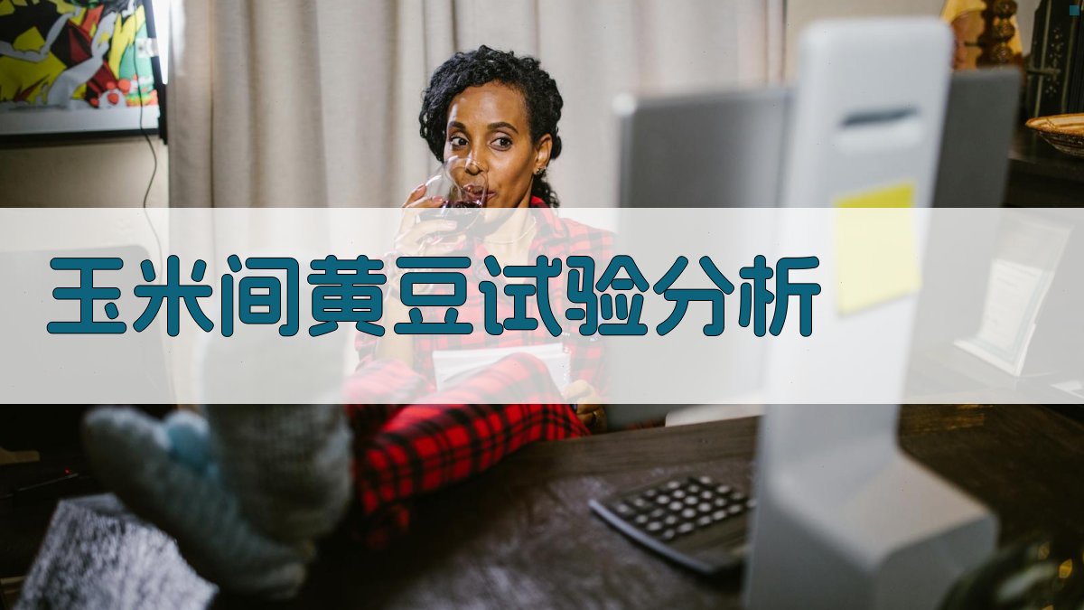 玉米间黄豆试验分析