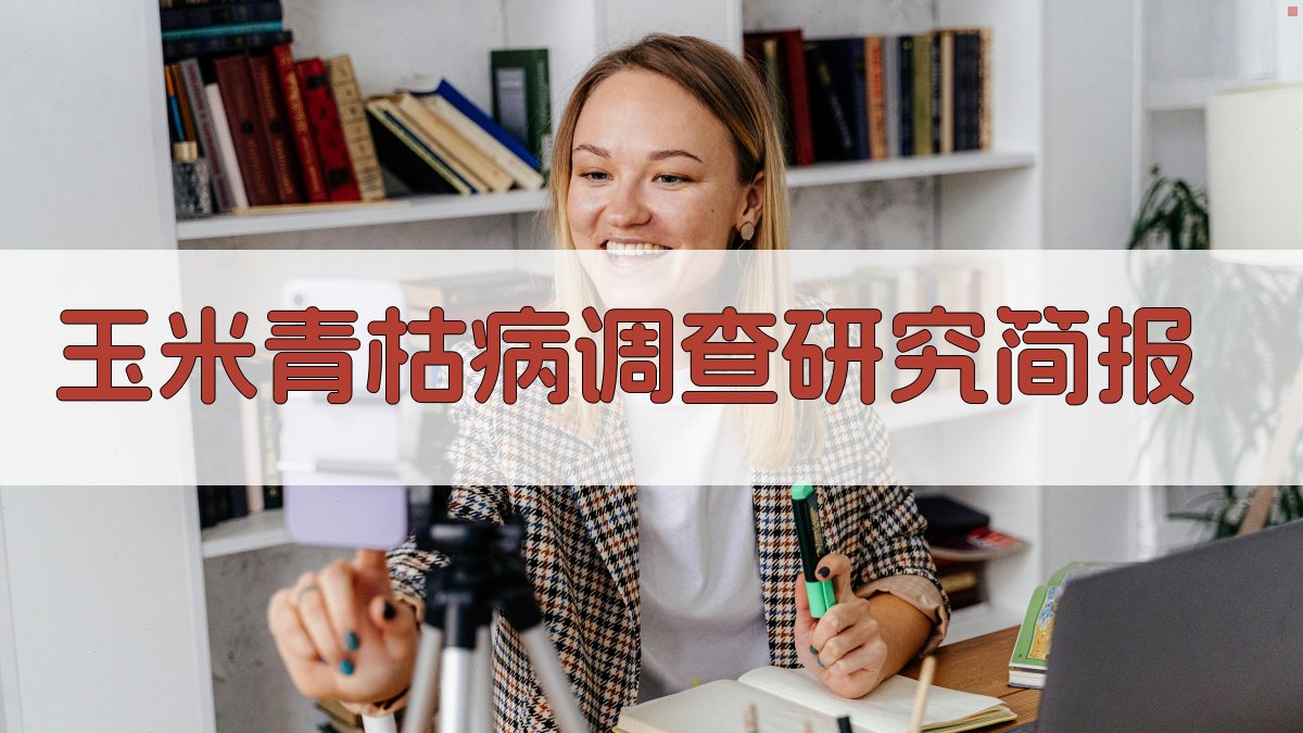 AI玉米青枯病调查研究简报