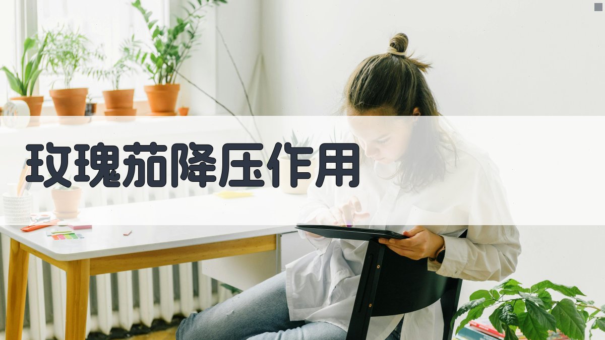 AI智能玫瑰茄降压作用解析