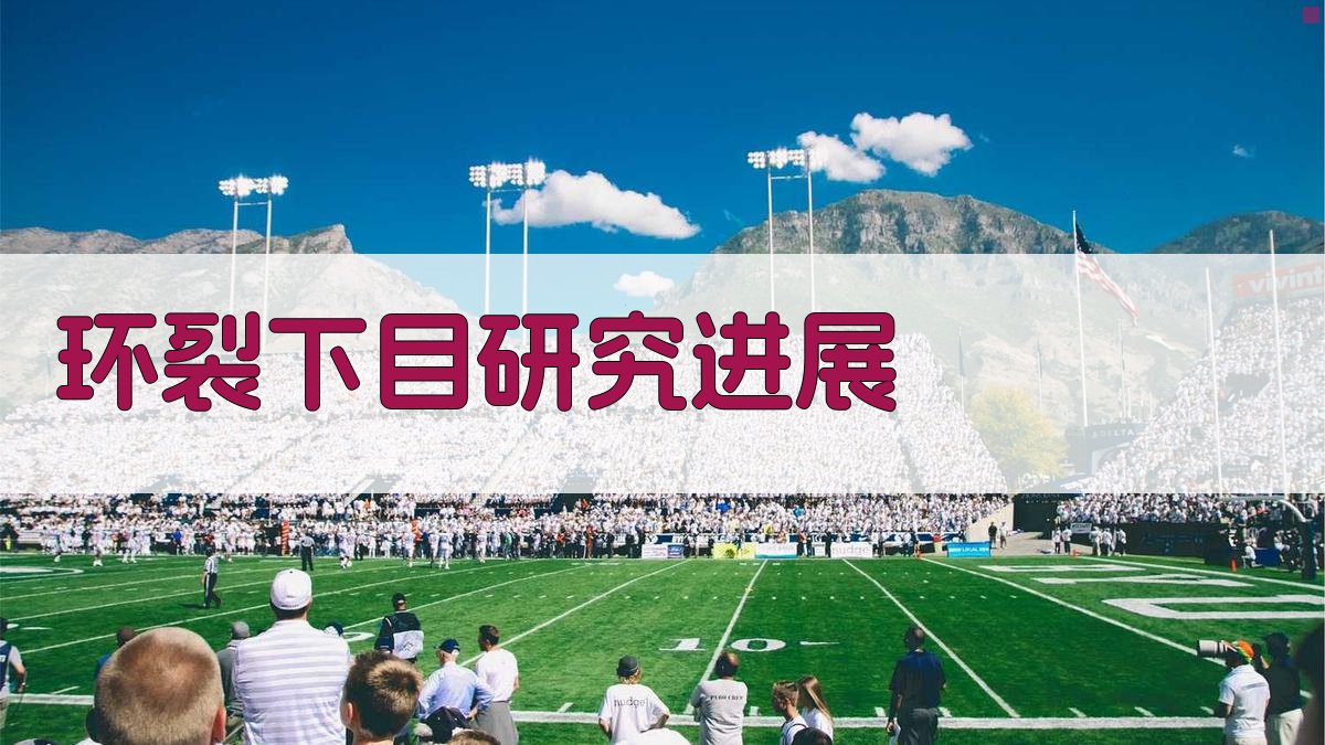 AI环裂下目研究进展分析