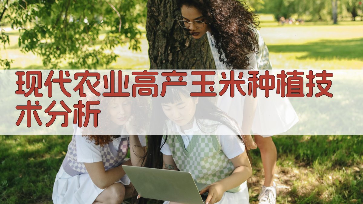 AI现代农业高产玉米种植技术分析