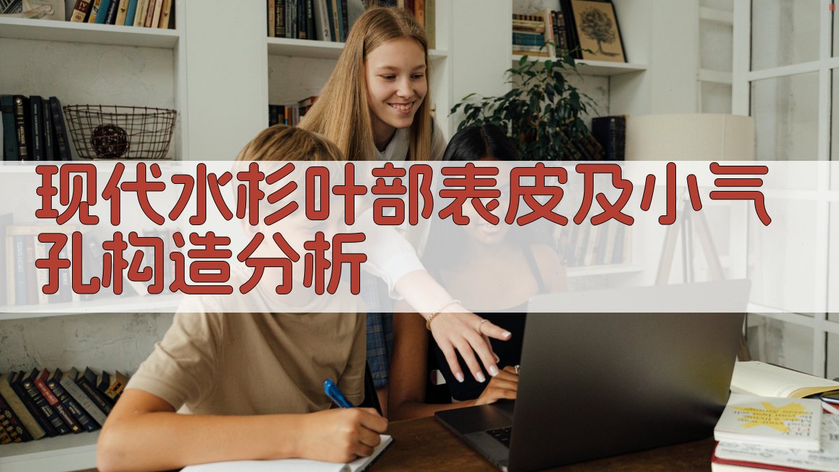 现代水杉叶部表皮及小气孔构造分析