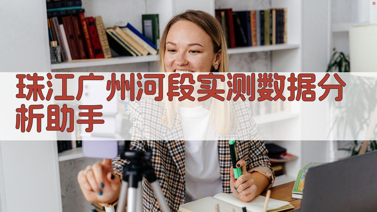 珠江广州河段实测数据分析助手