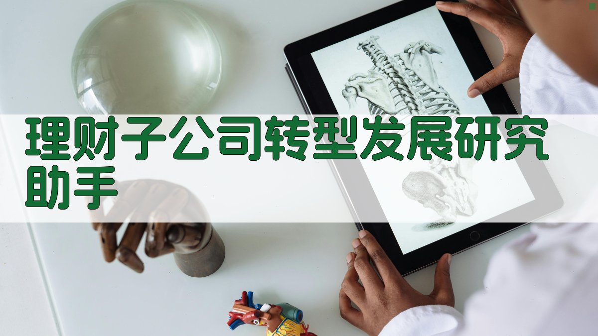 理财子公司转型发展研究助手