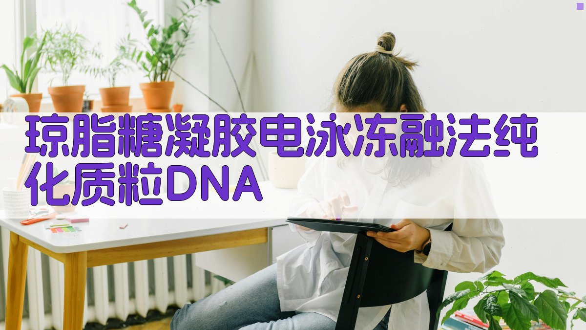 琼脂糖凝胶电泳冻融法纯化质粒DNA