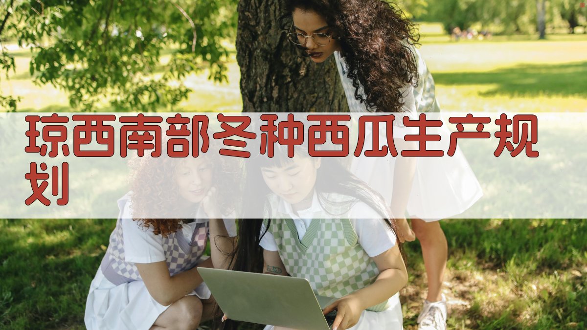 AI琼西南部冬种西瓜生产规划