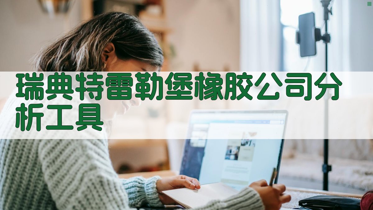 瑞典特雷勒堡橡胶公司分析工具