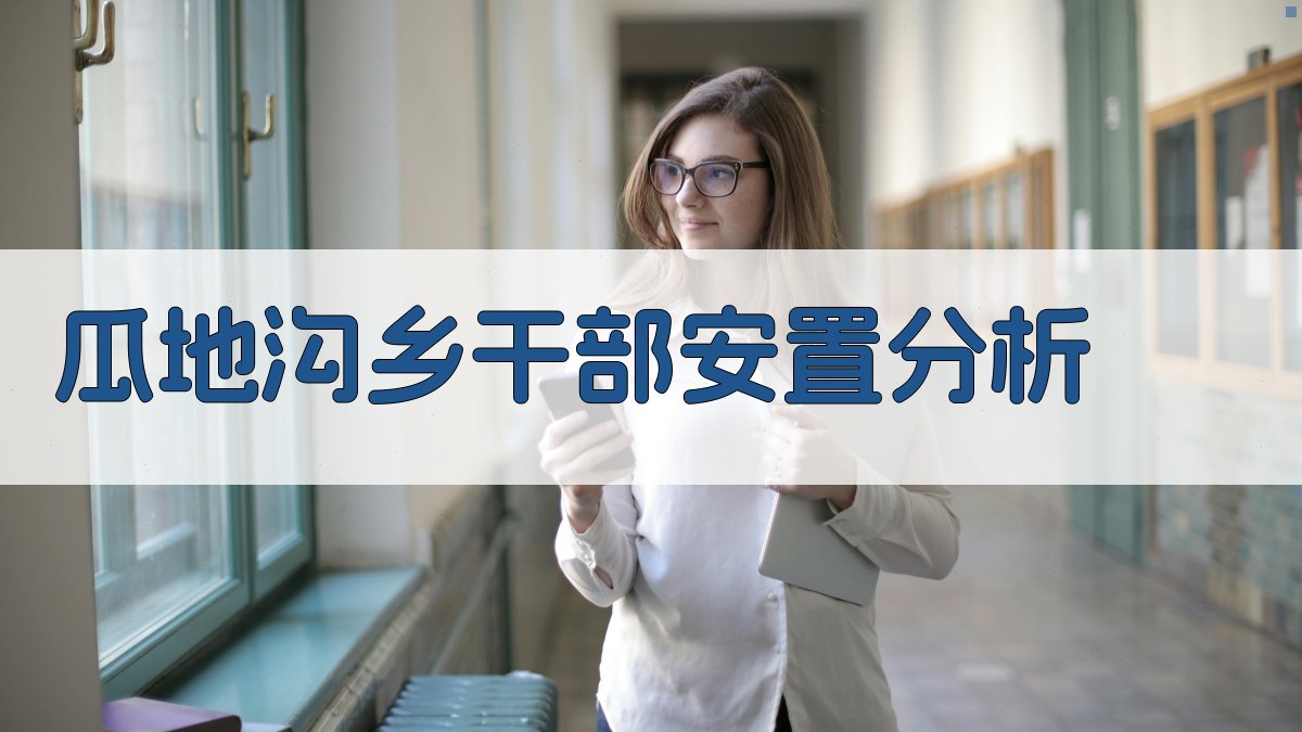 AI瓜地沟乡干部安置分析