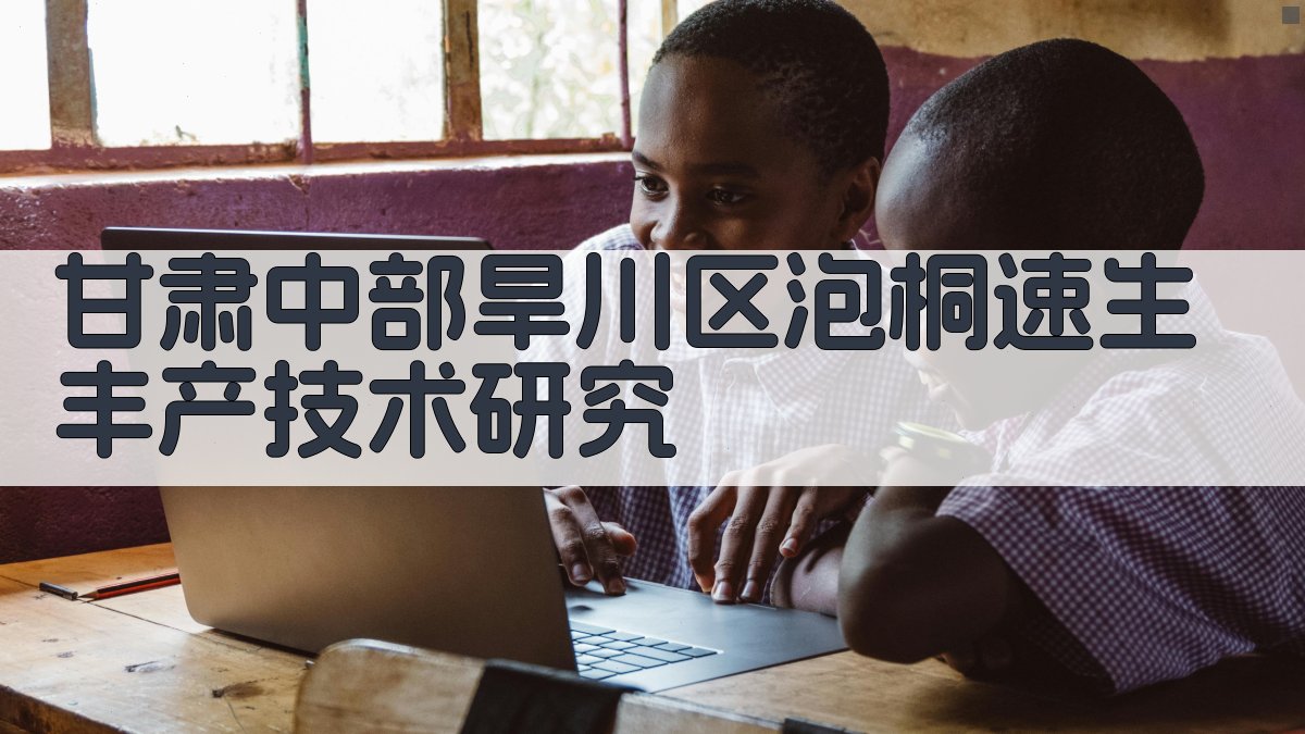 甘肃中部旱川区泡桐速生丰产技术研究