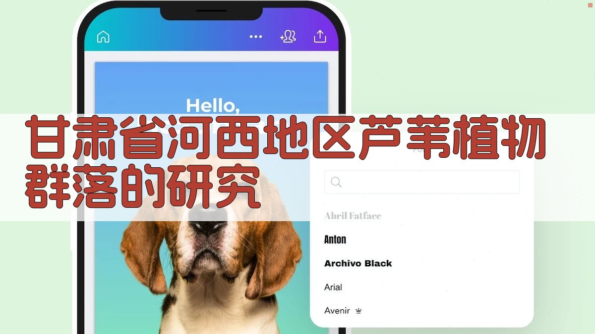 AI河西芦苇群落分析