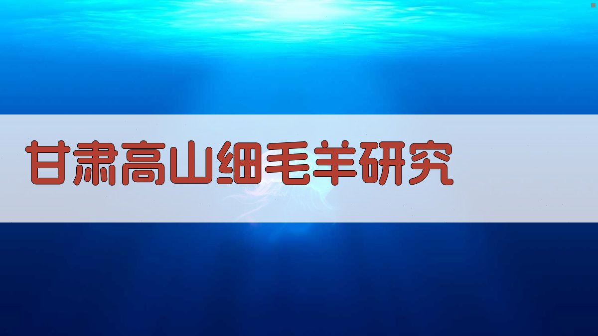 甘肃高山细毛羊研究