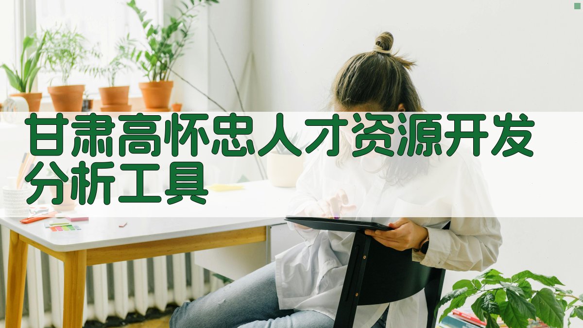 甘肃高怀忠人才资源开发分析工具