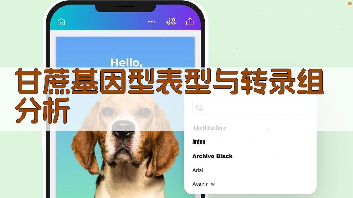 甘蔗基因型表型与转录组分析