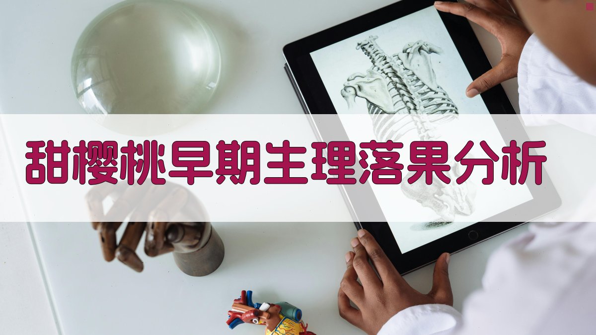 甜樱桃早期生理落果分析