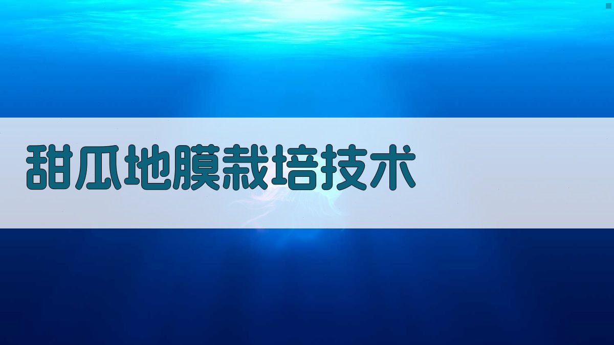 AI一键生成甜瓜地膜栽培技术