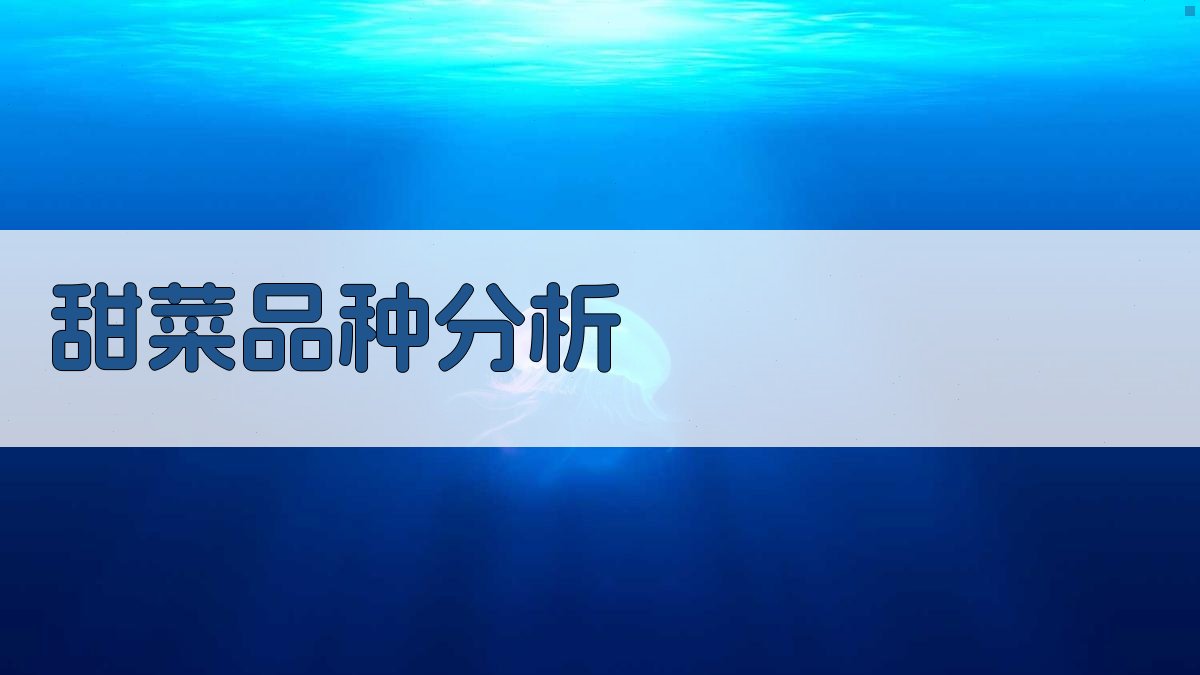 AI甜菜品种产量和糖分分析