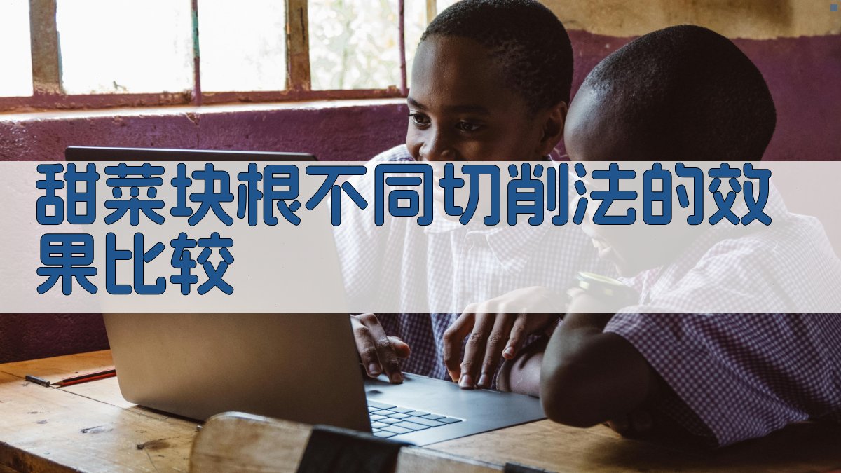 甜菜块根不同切削法的效果比较