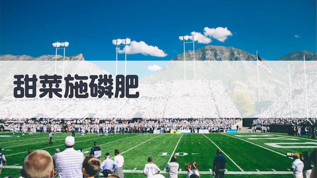 AI甜菜施磷肥指导