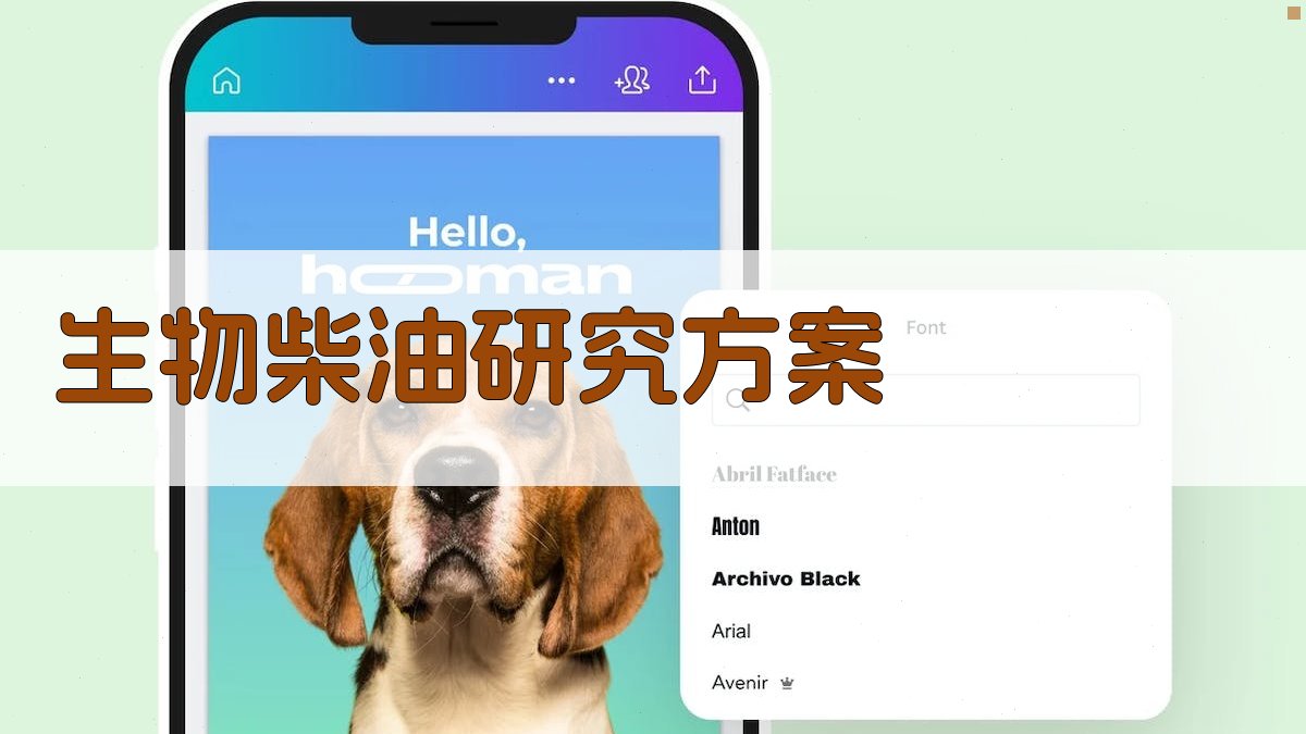 生物柴油研究方案