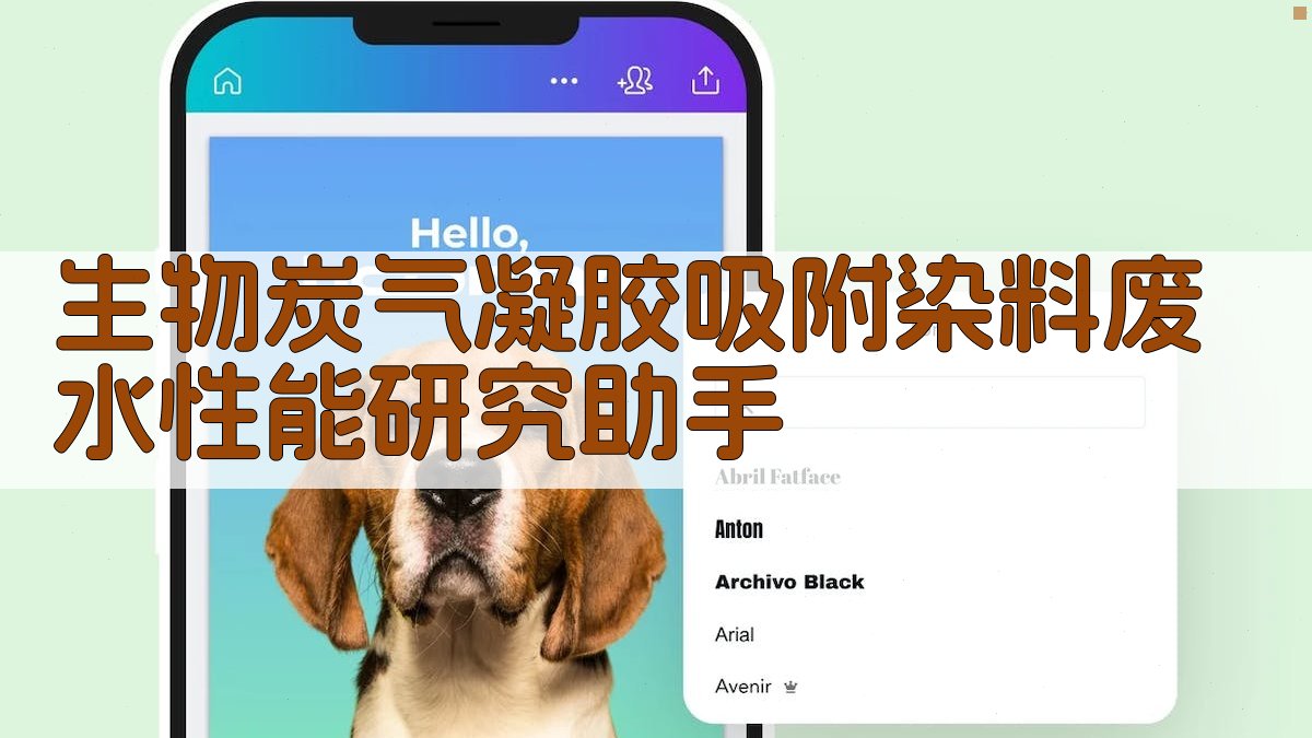 生物炭气凝胶吸附染料废水性能研究助手